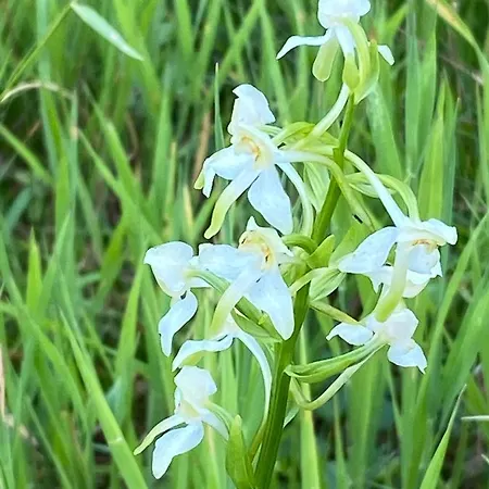 Ferme Du Val De Bruinen