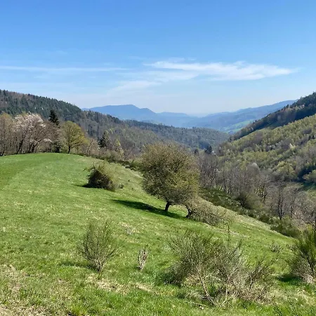 Ferme Du Val De Bruinen * Sainte-Marie-aux-Mines