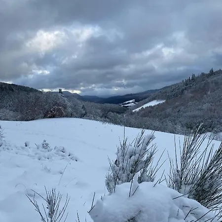 Ferme Du Val De Bruinen Sainte-Marie-aux-Mines