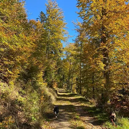 Ferme Du Val De Bruinen * Sainte-Marie-aux-Mines