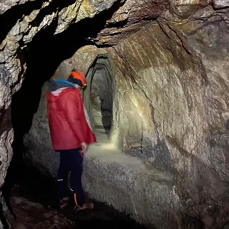 Ferme Du Val De Bruinen Sainte-Marie-aux-Mines