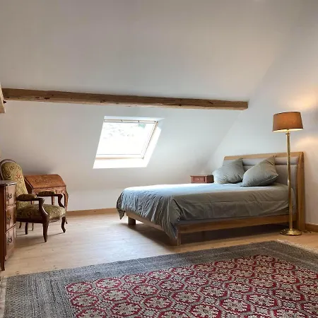 Ferme Du Val De Bruinen Tatil Evi Sainte-Marie-aux-Mines